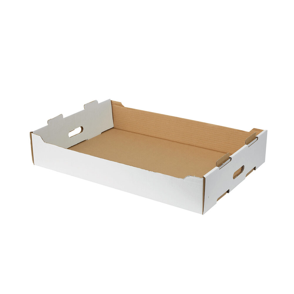 Traiteur plooidoos 58x39x10 40st