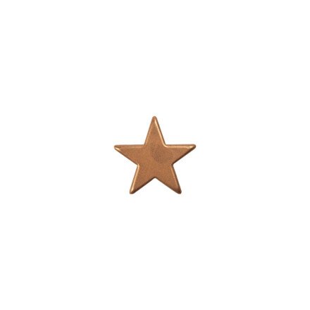 Leman 2015574 ster brons 2,5cm