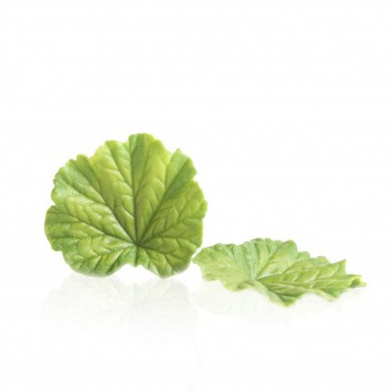 Leman 77687 groen blad 5,5cm 24st