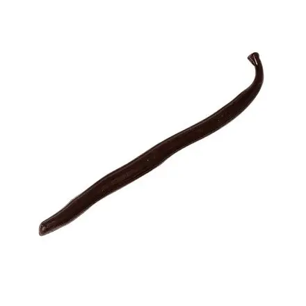 Leman 1034034 vanillestokje 48st